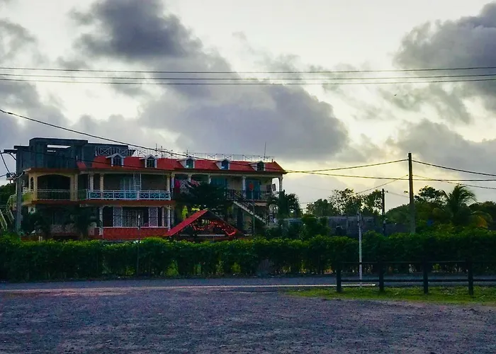 Sun Tropical Paradise